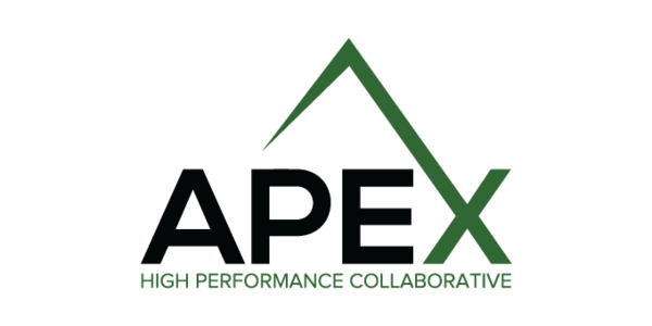 logo_APEX